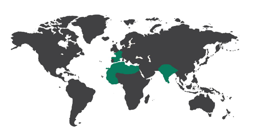 Planisphère représentant le développement international de CocoVeto