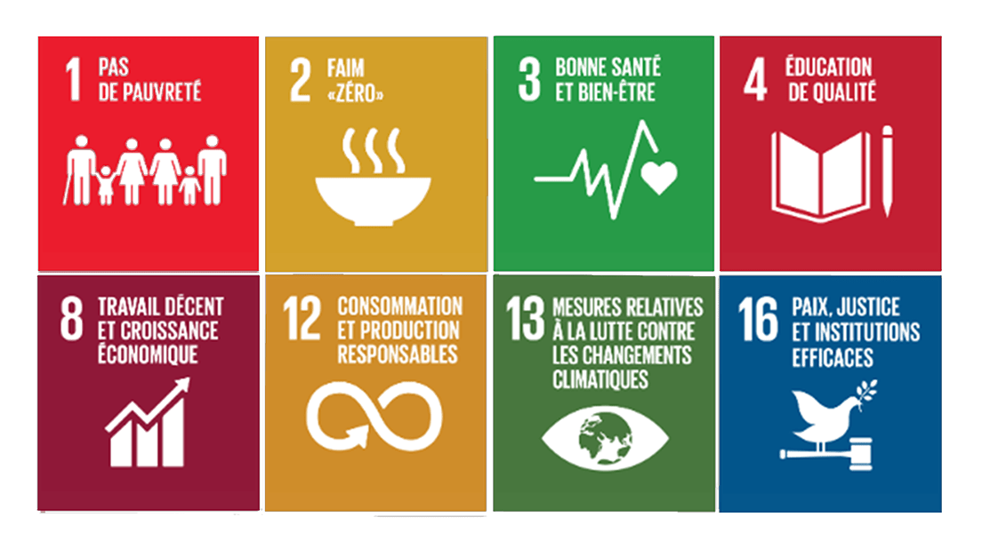 Développement CocoVeto